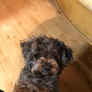 Meet your Posher, Jacqueline